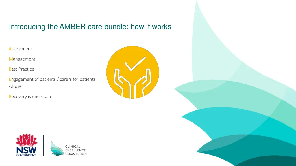 introducing the amber care bundle how it works