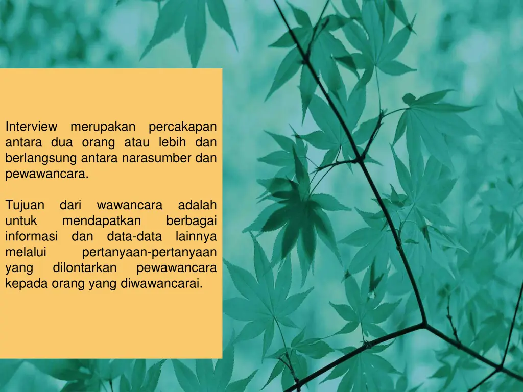 interview merupakan percakapan antara dua orang