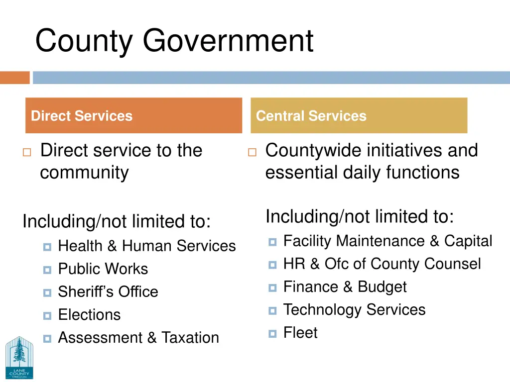county government