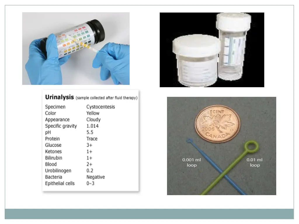 slide18