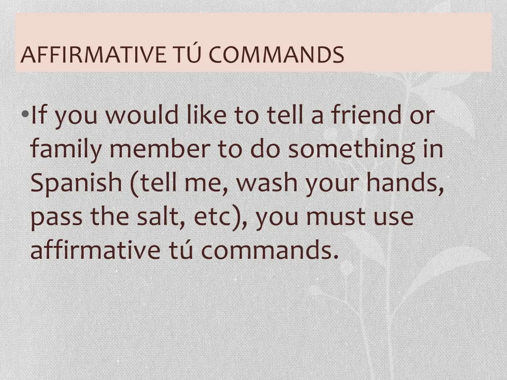 affirmative t commands 1