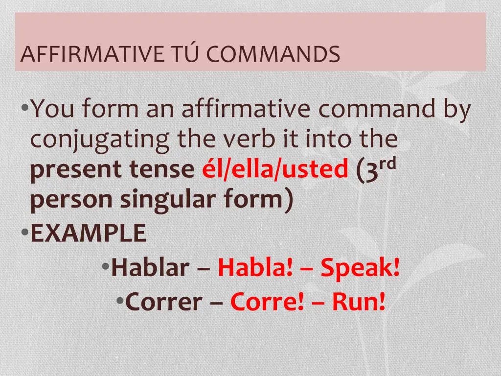 affirmative t commands 2
