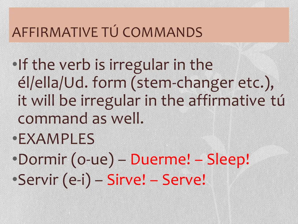 affirmative t commands 3