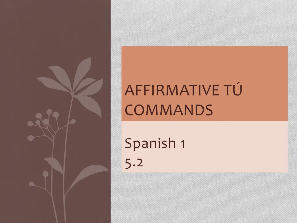 affirmative t commands