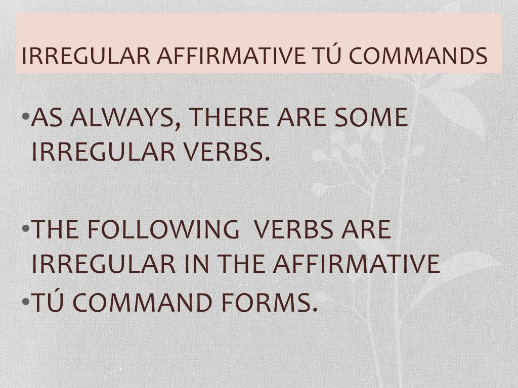 irregular affirmative t commands 1