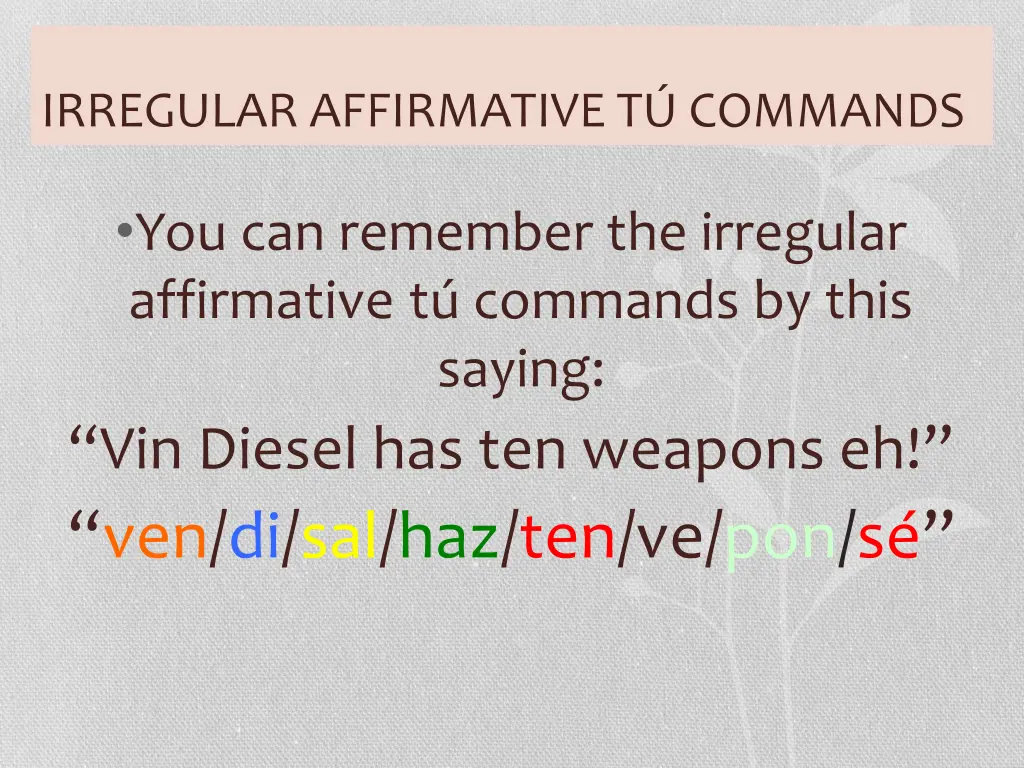 irregular affirmative t commands 2