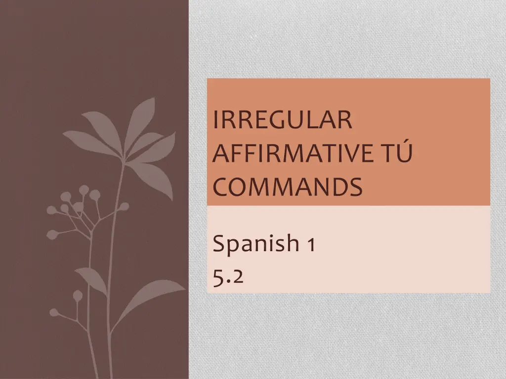 irregular affirmative t commands