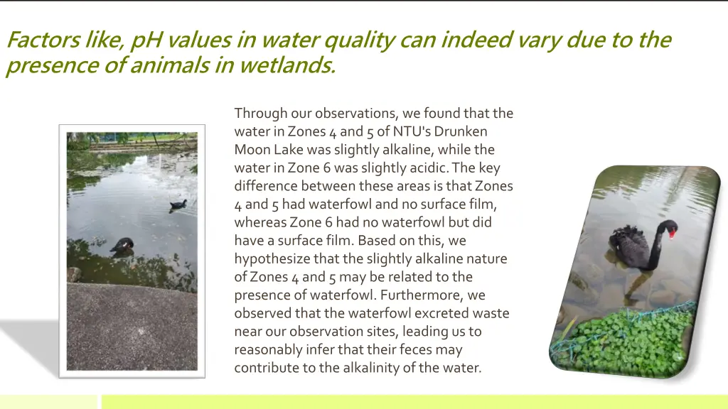 factors like ph values in water quality