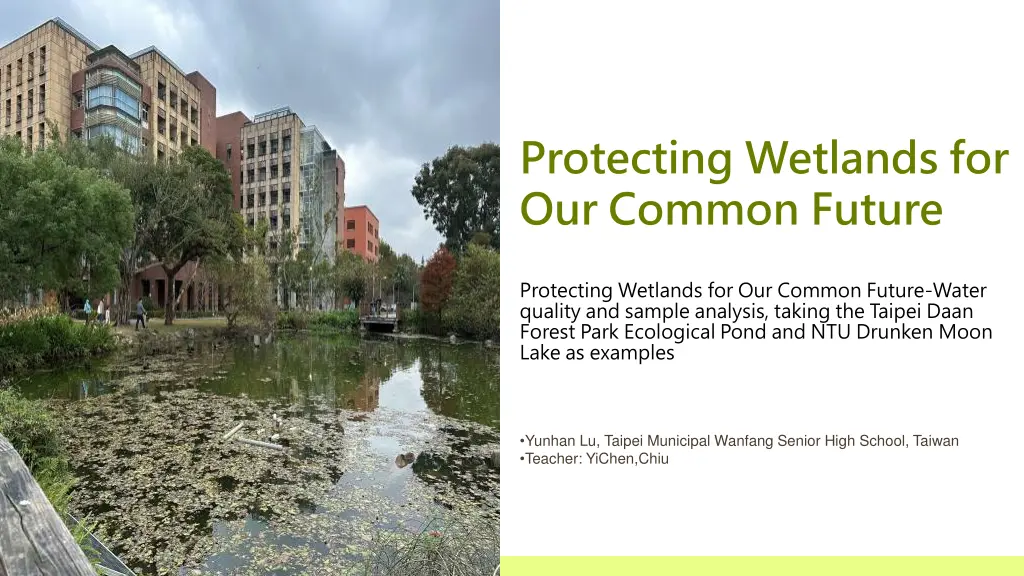 protecting wetlands for our common future