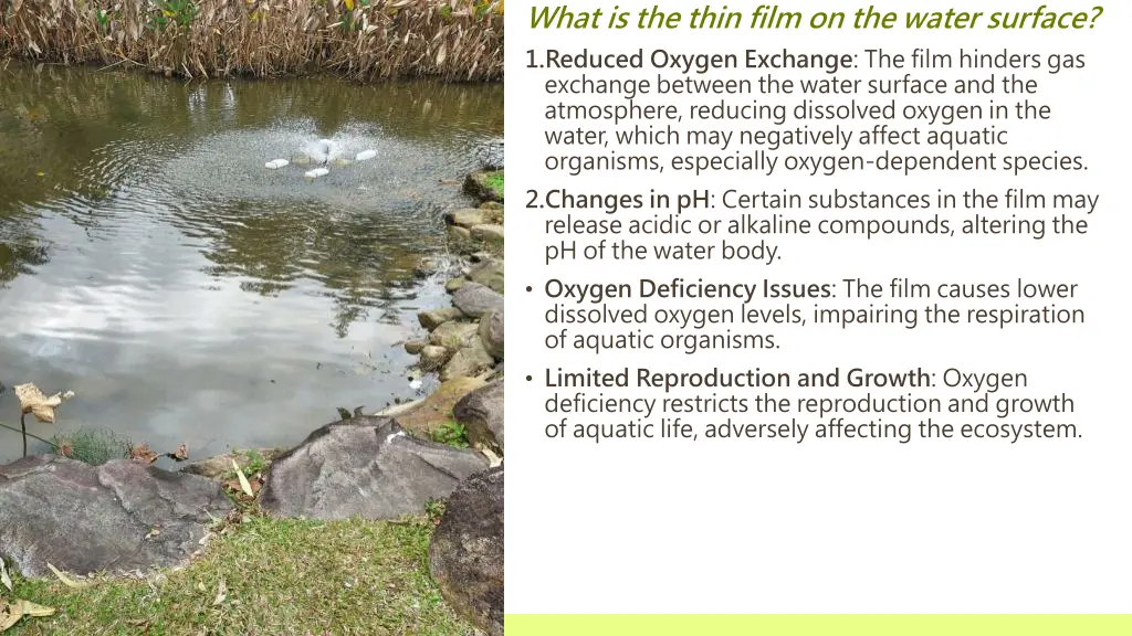 what is the thin film on the water surface