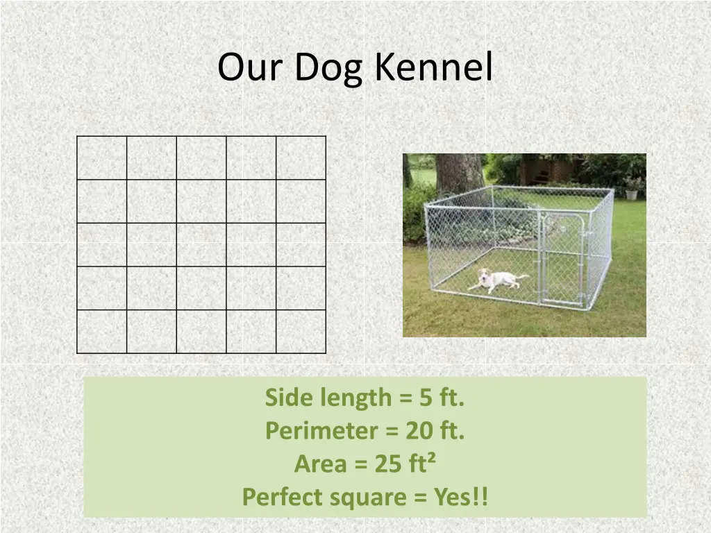 our dog kennel