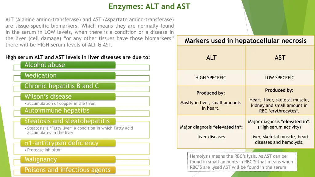 enzymes alt and ast