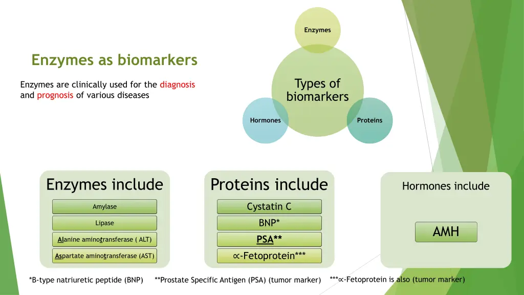 enzymes