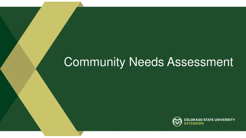 community needs assessment