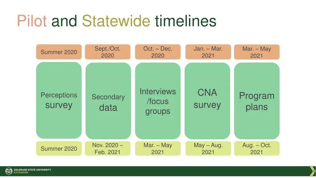 pilot and statewide timelines