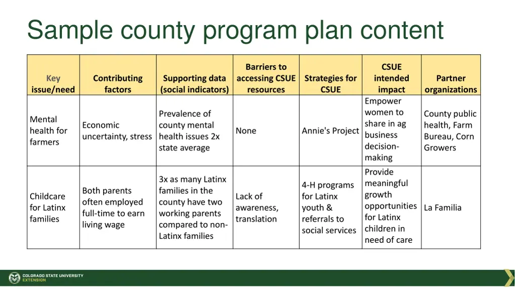 sample county program plan content