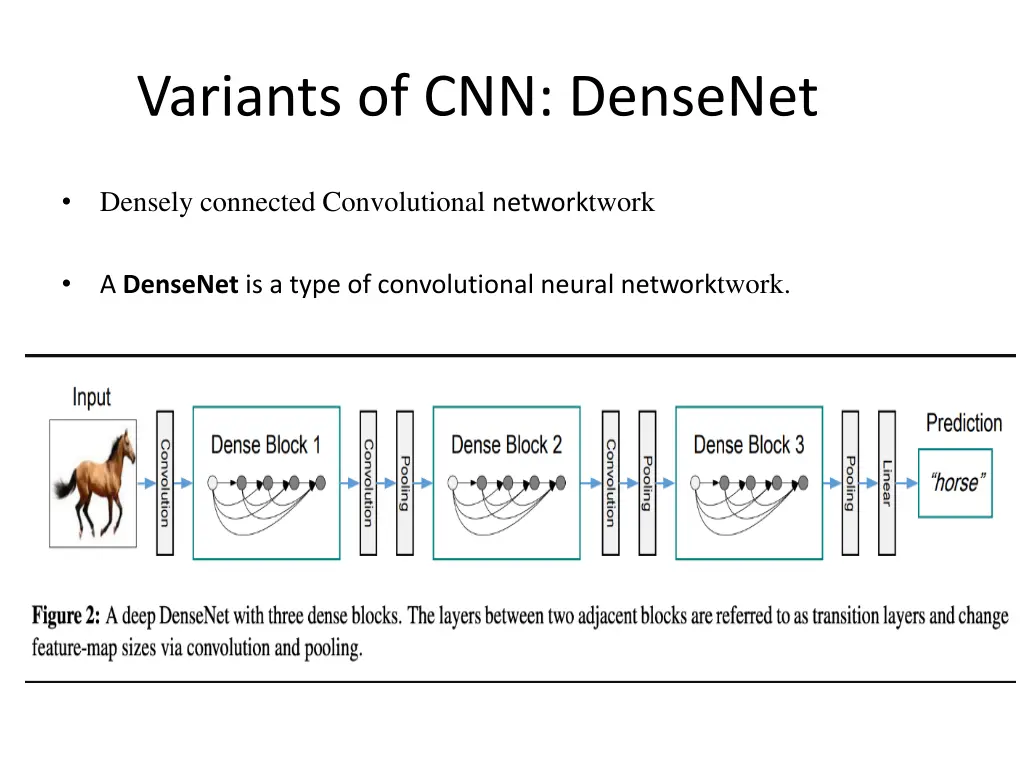 variants of cnn densenet