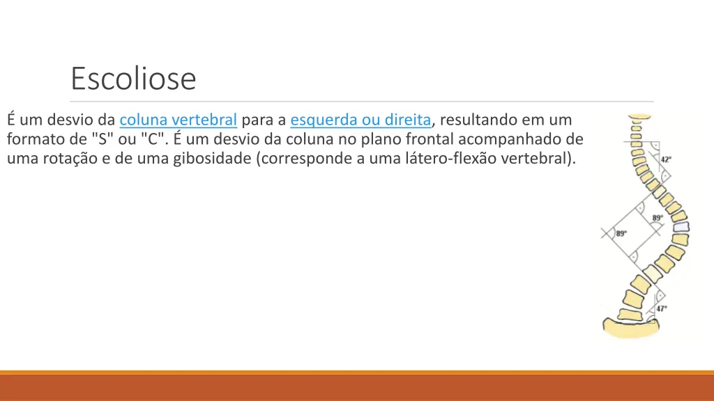 escoliose 1
