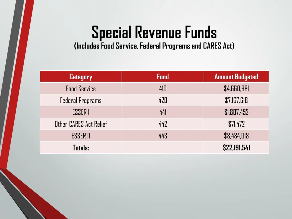 special revenue funds includes food service