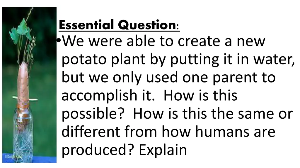 essential question we were able to create