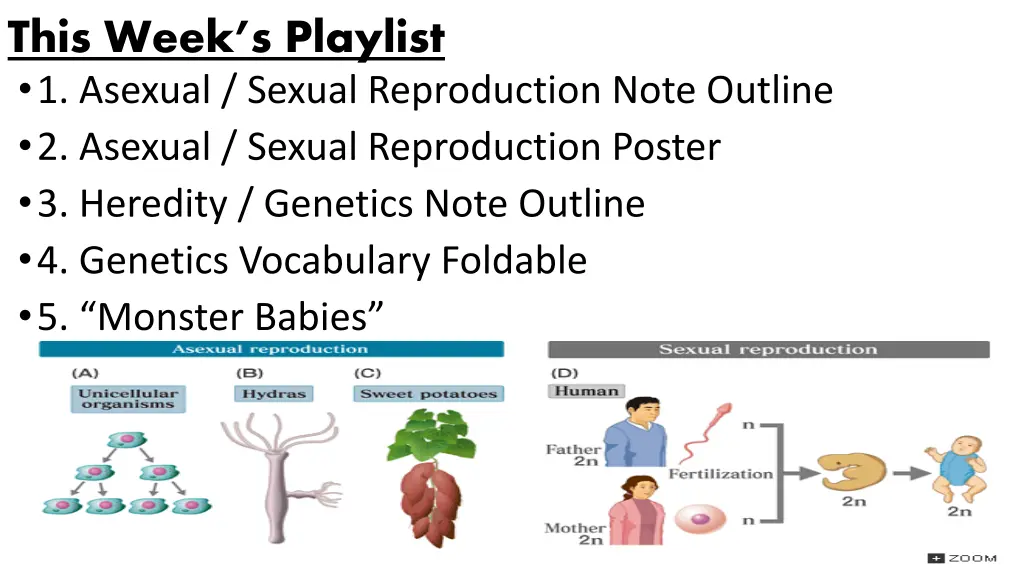 this week s playlist 1 asexual sexual