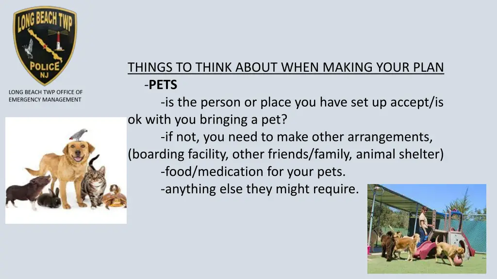 things to think about when making your plan pets