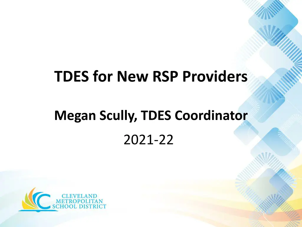 tdes for new rsp providers