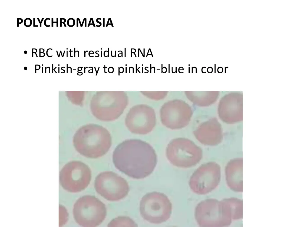 polychromasia