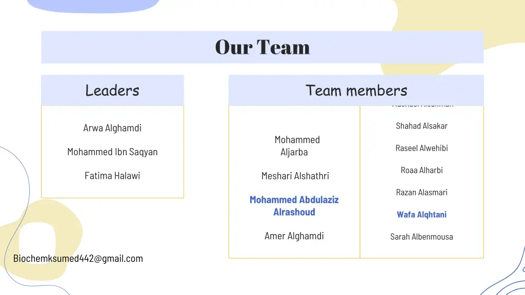 our team