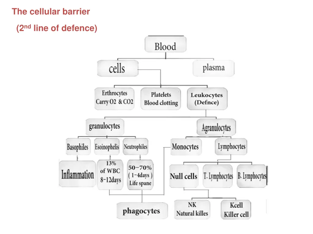 the cellular barrier