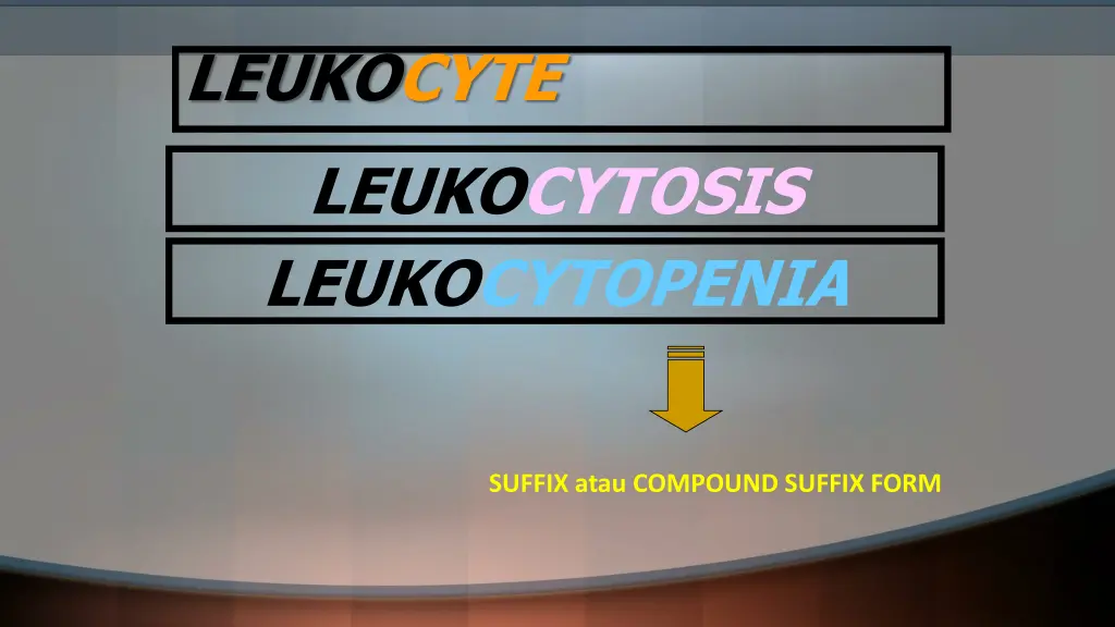 leukocyte