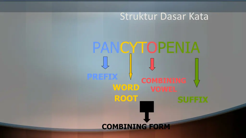 struktur dasar kata