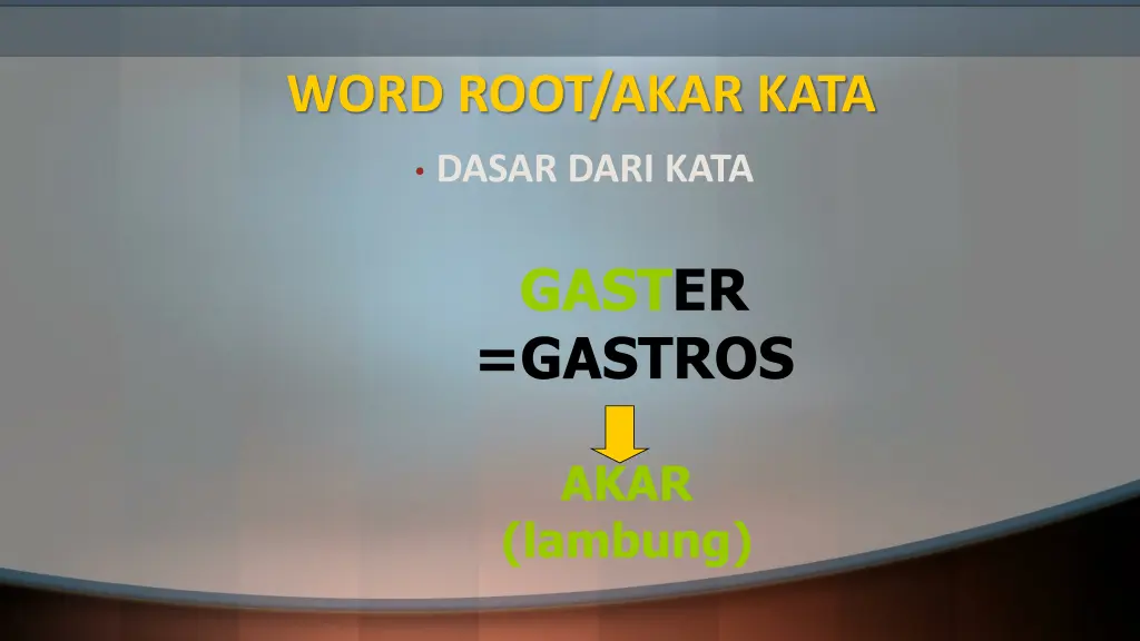 word root akar kata
