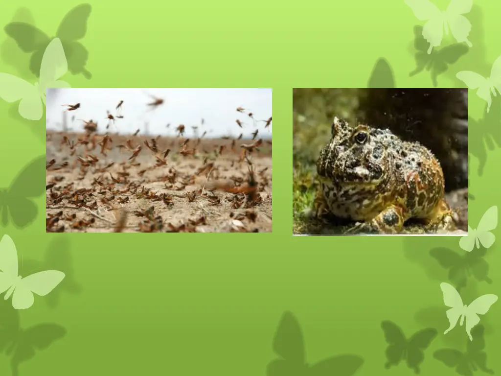 slide3