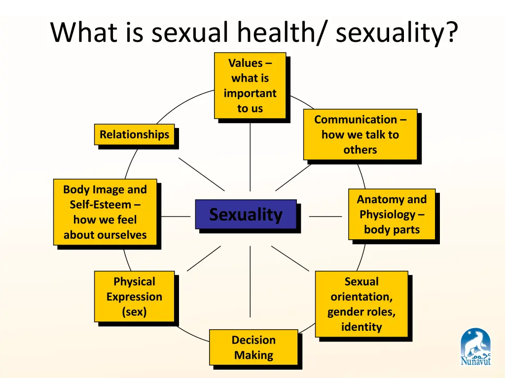 what is sexual health sexuality 1