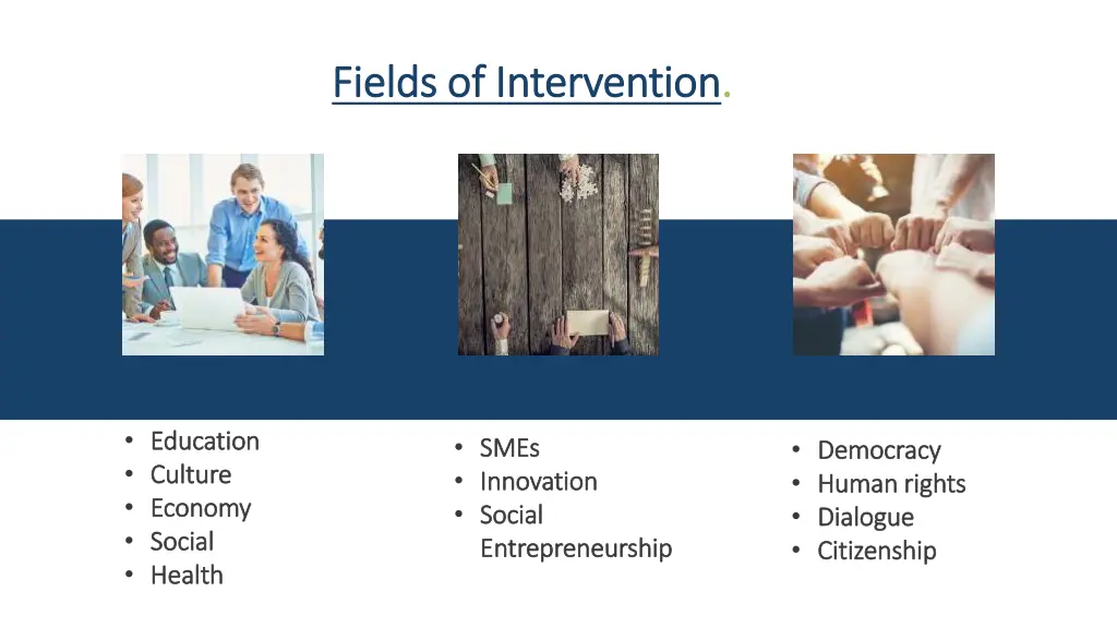 fields of intervention fields of intervention