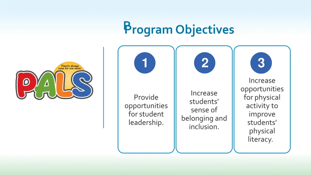 p program objectives