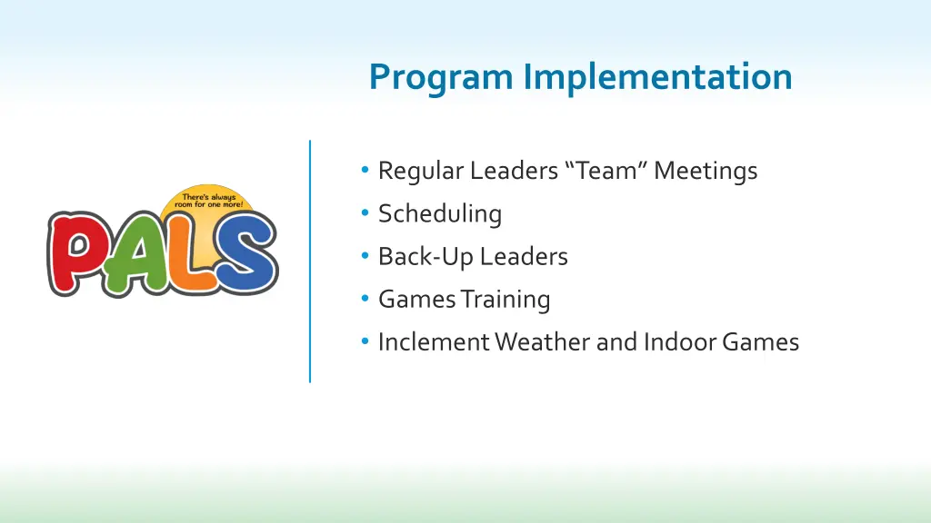 program implementation