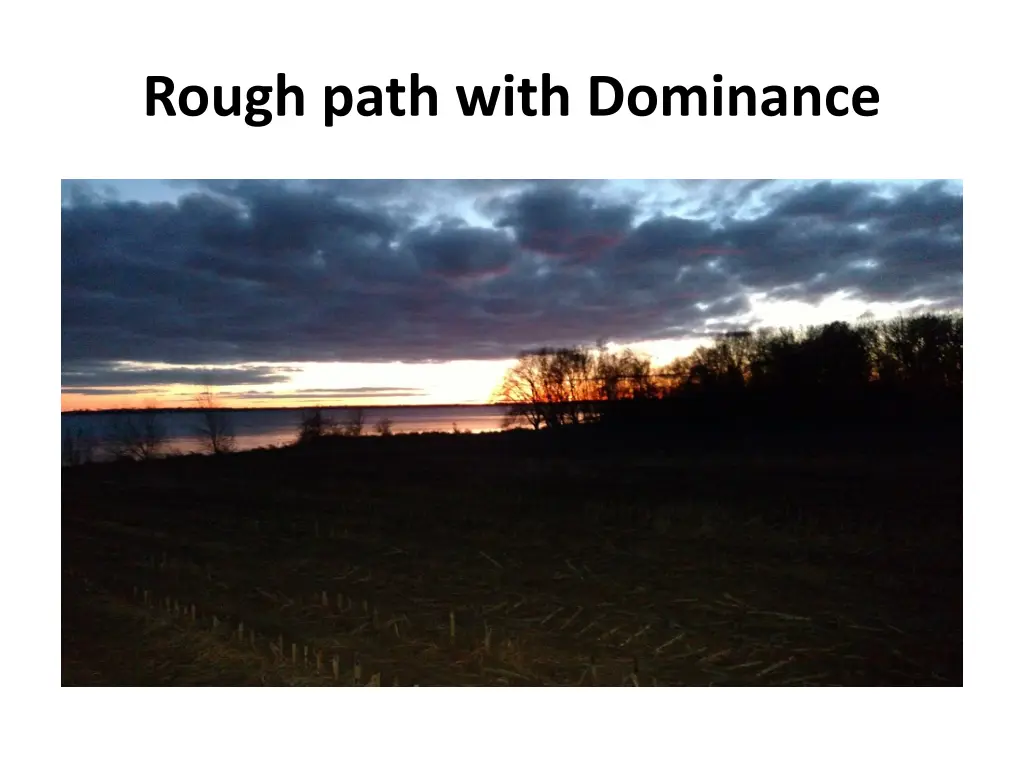 rough path with dominance