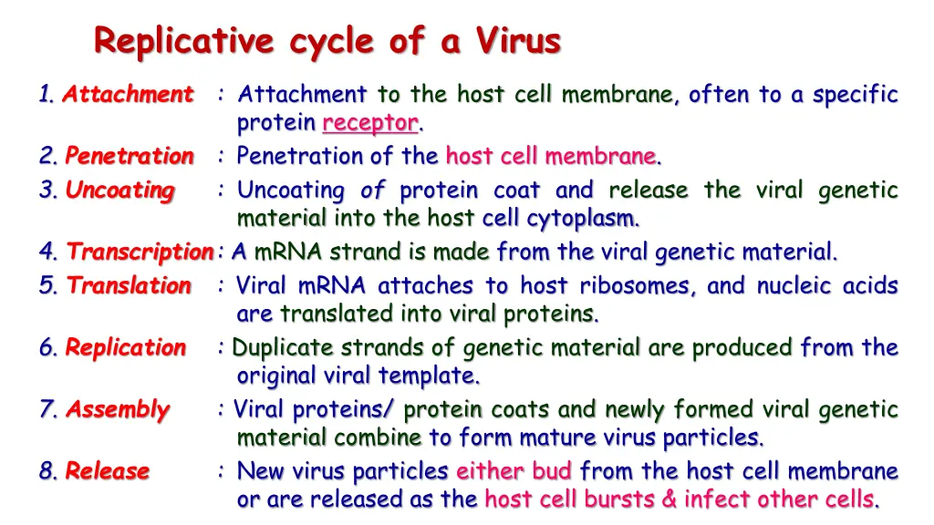 replicative cycle of a virus
