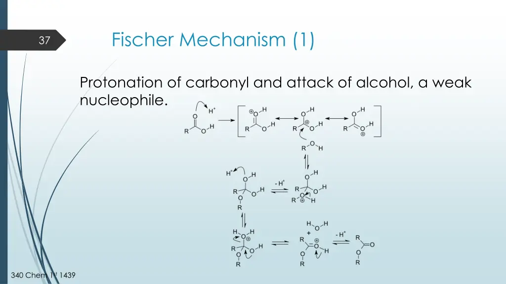 fischer mechanism 1