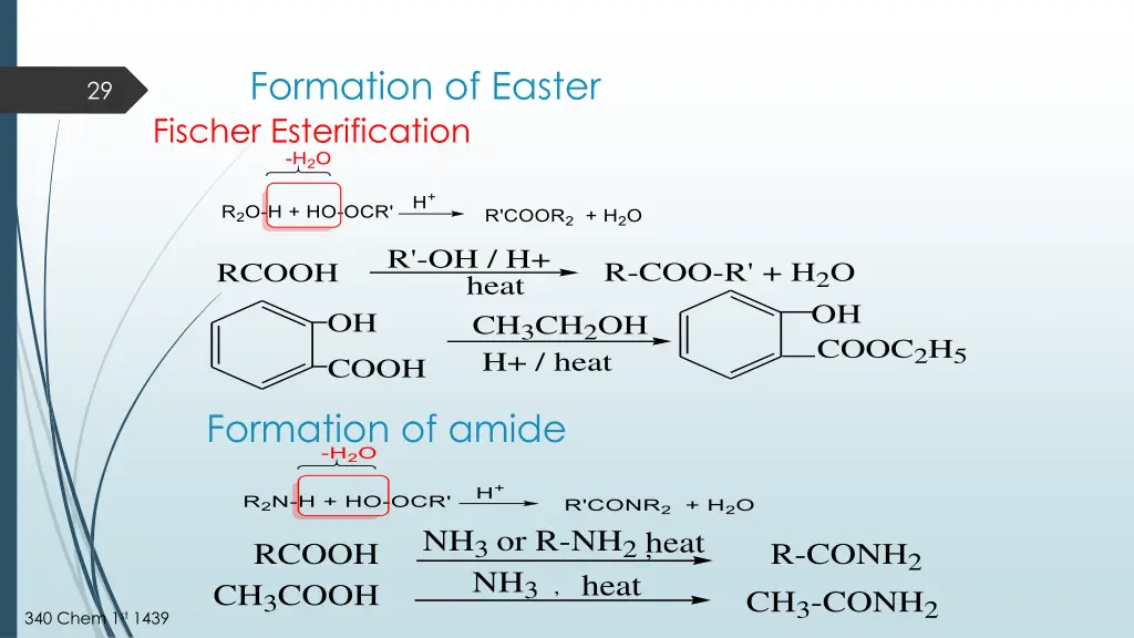 formation of easter fischer esterification