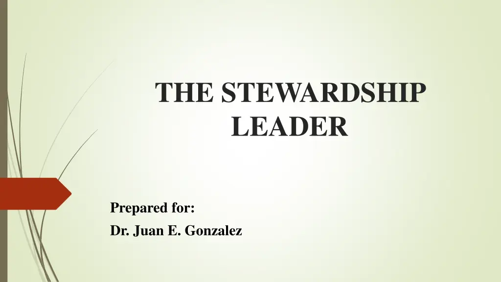 the stewardship leader