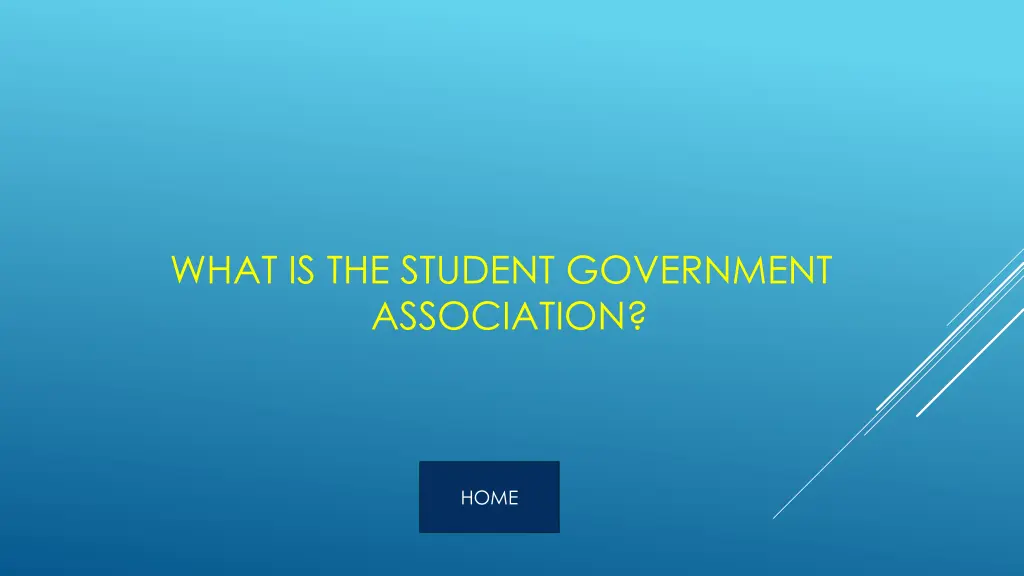 what is the student government association
