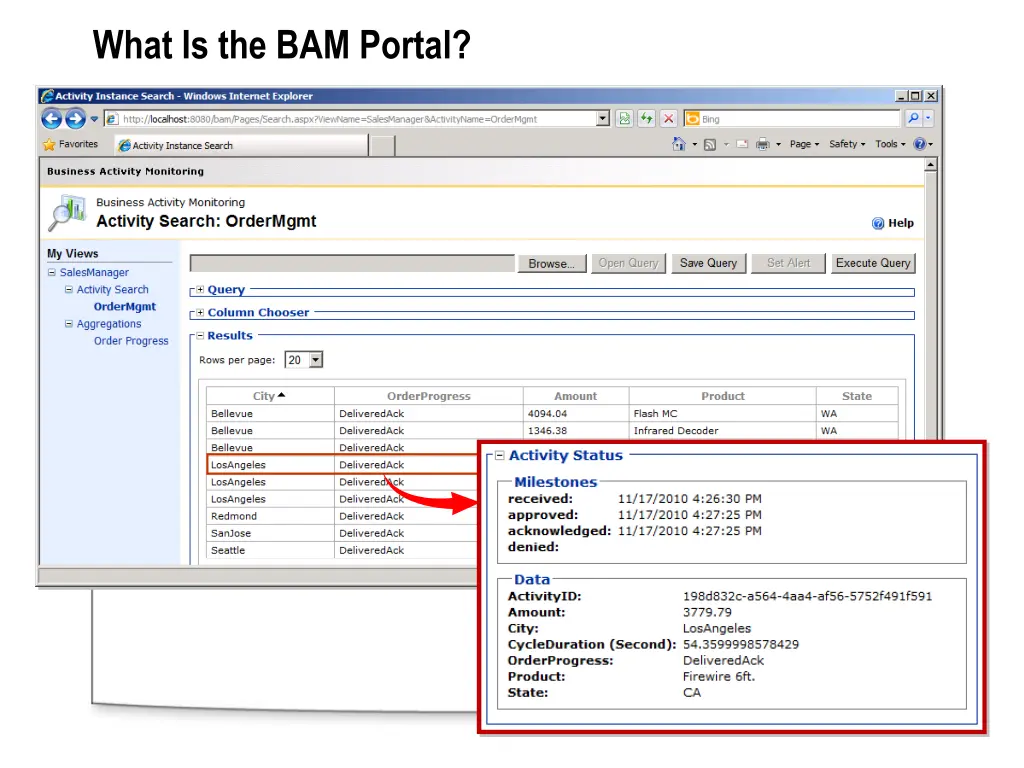 what is the bam portal