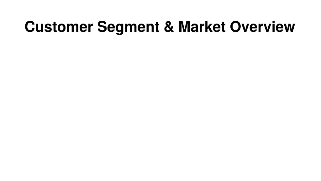 customer segment market overview
