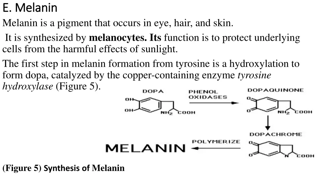 e melanin e melanin melanin is a pigment that