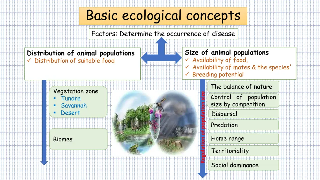 basic ecological concepts