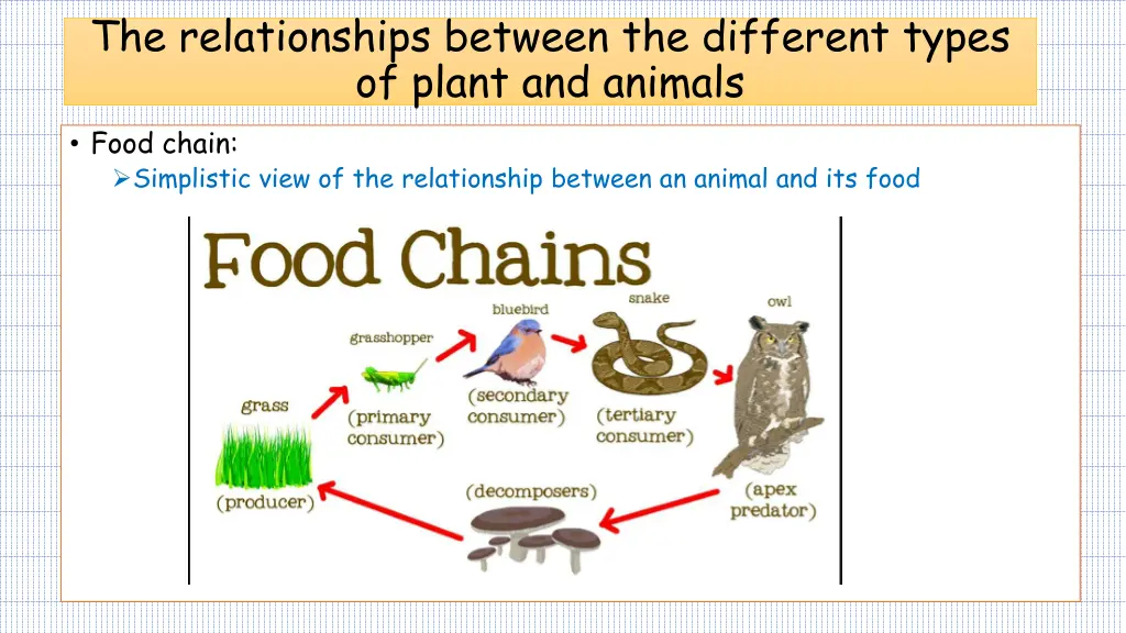 the relationships between the different types