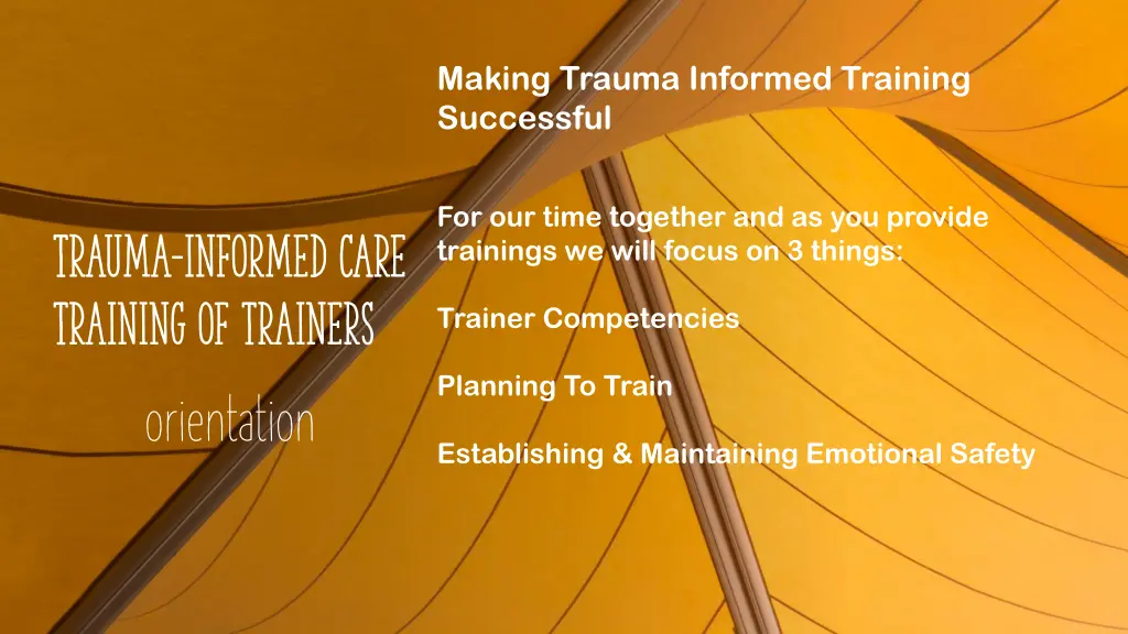 making trauma informed training successful